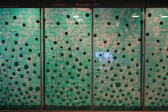 Killikus&reg; Fotographie